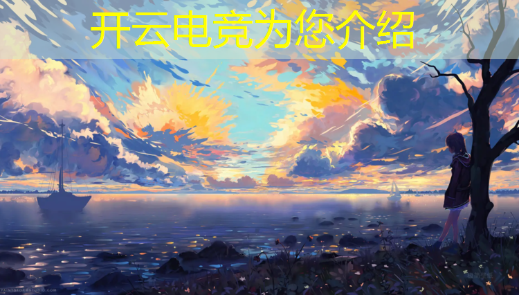 kaiyun·开云电竞为您介绍：河北专业电竞行业联盟官网